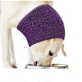 Miniatyrbilde 1 av 5: Dog Happy Hoodie, Magisk verktøy for pelsstell og hurtigtørking - WELLNGS purple M