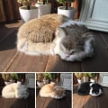 Miniatyrbild 3 av 3: Realist kattliv sovande, katt plyschleksak, falsk plyschleksak, falsk-WELLNGS