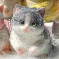 Miniatyrbillede 1 af 5: Fed Cat Squishies Legetøj, Stor Cat Squishies Legetøj - WELLNGS C