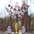 Miniatyrbillede 3 af 5: 1 stk. Tørret kunstig bomuldsblomst kunstig plante blomstergren fest boligindretning - WELLNGS