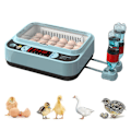 Miniatyrbillede 2 af 5: Automatisk Æg Inkubator Controller Digital LED Temperaturstyring Temperatur Fugtighedssensor Æg-WELLNGS 24Eggs