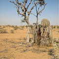 Miniatyrbillede 1 af 5: 5 i 1 Ghillie-dragt, 3D Camouflage Jagttøj Inklusive Jakke, Bukser, Hætte, Bærepose-WELLNGS YEL