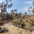 Miniatyrbillede 5 af 5: 5 i 1 Ghillie-dragt, 3D Camouflage Jagttøj Inklusive Jakke, Bukser, Hætte, Bærepose-WELLNGS YEL