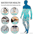 Miniatyrbilde 3 av 4: Hydrogen Generator Vannflaske, Real Molecular Hydrogen Rich Water Generator Ionizer Maker Machine