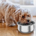 Miniatyrbillede 5 af 5: Hunde Vandskål 4,3l Ingen Spild Rustfrit Stål Hundeskåle Langsom Vand Feeder, Spildfri Hunde Vandskål-WELLNGS 0 0