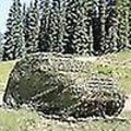 Miniatyrbild 3 av 5: Kamouflage Nät Solskydd Kamouflage Nät Persienner Patio Mesh Nät för Camping Skytte Jakt-WELLNGS White 3m by 4m
