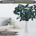 Miniatyrbillede 5 af 7: HVID LUKSUS - Eukalyptus som tørrede blomster AN iøjnefaldende - holder for evigt
