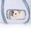 Miniatyrbild 5 av 5: 1 st S-formad grå och vit kattunnel husdjurstillbehör enkel