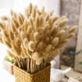 Miniatyrbillede 6 af 6: Solskins smil 30 stk tørret pampasgræs, tørrede blomsterbuket