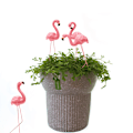 Miniatyrbillede 2 af 5: 4 Flamingoer Pendulum Resin Havepotte Dyr Indsætninger Mikro