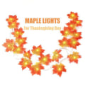 Miniatyrbillede 1 af 8: Juleblade Fairy Lights, 20 LED Ahornblad Lampe Streng, Varm