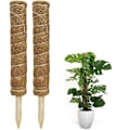 Pikkukuva 1 / 8: Sammalkeppi, 2 kappaletta 40 cm Monstera kiipeilyapu, jatkettava luonnonmukainen
