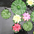 Miniatyrbillede 7 af 8: Lotus blad kunstig flydende skum lotus blad kunstig blad fisk