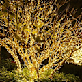Miniatyrbilde 5 av 5: 100M 1000 LED julelys utendørs fe lyslenke ferie