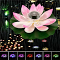 Miniatyrbild 4 av 6: Solcells LED Lotusblomma Flytande Damm Pool Nattljus