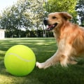 Miniatyrbilde 4 av 8: Tennisballer 3 stk tennisballer perfekt for trening I