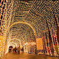 Miniatyrbild 3 av 10: 100M 600 LED-ljusslinga utomhus karneval bröllop inomhus trädgårdsbelysning colorful 100M-600 LED lights