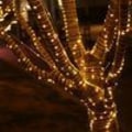 Miniatyrbilde 3 av 6: Eventyrlys 50M 400 LED-er Varm Hvit Vanntett 8 Lysmoduser for Innendørs Utendørs Bruk
