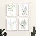 Miniatyrbilde 2 av 6: Bilder botanikk, planter, stue, soverom, spisestue