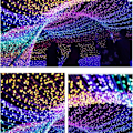 Miniatyrbillede 4 af 4: 100M 1000 LED Jule LED Lyskæde Udendørs Bryllup Fe Lys