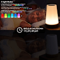 Miniatyrbillede 4 af 7: Berøringslampe, bærbar bordlampe med sensorstyring og hurtig USB