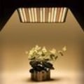 Pikkukuva 5 / 6: 256 LED-kasvilamppu, auringonvalo sisäkasvien kasvuvalaisin, kasvihuone