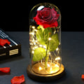Miniatyrbillede 3 af 6: Skønheden og Udyret roser, evige roser og LED-lys under glaskupplen.