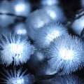 Miniatyrbilde 2 av 8: Batteridrevne snøballformede LED-lyskjeder, 30 hvite