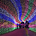 Miniatyrbild 2 av 10: 100M 600 LED-ljusslinga utomhus karneval bröllop inomhus trädgårdsbelysning colorful 100M-600 LED lights