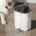 Miniatyrbillede 3 af 5: Kat/hund springvand - Automatisk vandskål med filter 2 L