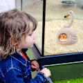 Miniatyrbilde 6 av 8: Liten Dyrehamster Sovevarm Rede Vintervarme Senger Hule Kjæledyrforsyninger