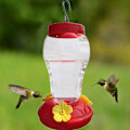 Miniatyrbillede 3 af 8: Kolibri Foderautomat med 3 Blomsterfodringsporte Hængende Kolibri Foderstationer