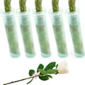 Miniatyrbillede 4 af 8: 100 stk. Blomster Rør Klar Plastik Blomster Vand Rør Blomster Rør til Blomsterarrangementer