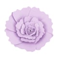 Miniatyrbild 4 av 5: DIY Vacker Dekoration av Silkespappersblommor för Födelsedag Bröllopsfest Ljus Lila
