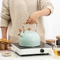 Miniatyrbillede 2 af 5: Visslande Vattenkokare, 2,5L Visslande Vattenkokare, Gasspis Induktionskokare Rostfritt Stål Vattenkokare Light green