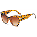 Pikkukuva 2 / 11: Eleganta Hög Kvalitet Polariserade Solglasögon Svart/Leopard