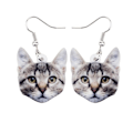 Miniatyrbillede 1 af 4: Earrings - Cat - Tabby - Acrylic Multicolor