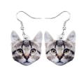 Pikkukuva 1 / 4: Earrings - Cat - Tabby - Acrylic Multicolor