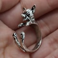 Miniatyrbillede 3 af 4: Ring - Chihuahua - Dog Silver