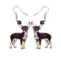Pikkukuva 1 / 4: Earrings - Chihuahua - Acrylic Multicolor