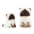 Söpö Ragdoll-kissan pehmolelu 26cm