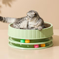 Miniatyrbild 5 av 5: Högdensitets Reptålig Interaktiv Rund Katt Repbräda Leksak med Catnip - Grön