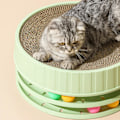 Miniatyrbild 3 av 5: Högdensitets Reptålig Interaktiv Rund Katt Repbräda Leksak med Catnip - Grön
