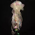 Miniatyrbillede 2 af 3: Jellyfish Lille Nattelys Realistisk Soveværelse Lys Lampe DIY til Værelse Dekoration White