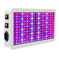 Pikkukuva 3 / 5: 3000 W LED Grow Light Hydroponinen täysi spektri sisäkasvikasvien telttalamppu 1000W-216LEDs EU Plug