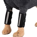 Miniatyrbillede 5 af 5: 2 stk. Knæbeskyttelse til kæledyr, hund forbensbøjler karpalsupport kæledyr håndledsstøtte reflekterende til hunde med gigt og skader L
