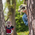Pikkukuva 5 / 5: Dragon Dinosaur Mask Jurassic Tyrannosaurus Rex Halloween Snake Open Suu Lateksi Halloween Cosplay C