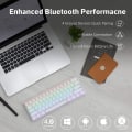 Miniatyrbillede 4 af 5: Anne Pro 2 Mekanisk gaming-tastatur 60 % ægte RGB-baggrundsbelyst - Kablet/trådløs Bluetooth 5.0 PBT Type-c (Gateron Rød, Hvid)