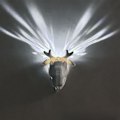 Miniatyrbild 3 av 3: 3D Djur-LED Vägglampa, Atmosfärisk Belysning, För Sovrum, Matrum, Trapphus Älg
