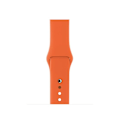 Pikkukuva 3 / 3: Älykäs ranneke Apple Watch Series 9/8/7 41mm/6/SE (2023)/SE(2022)/SE/5/4 40mm/3/2/1 38mm Orange L Apple Watch Series 9 4